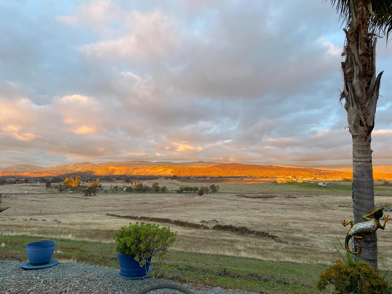 9556 Banderilla Drive