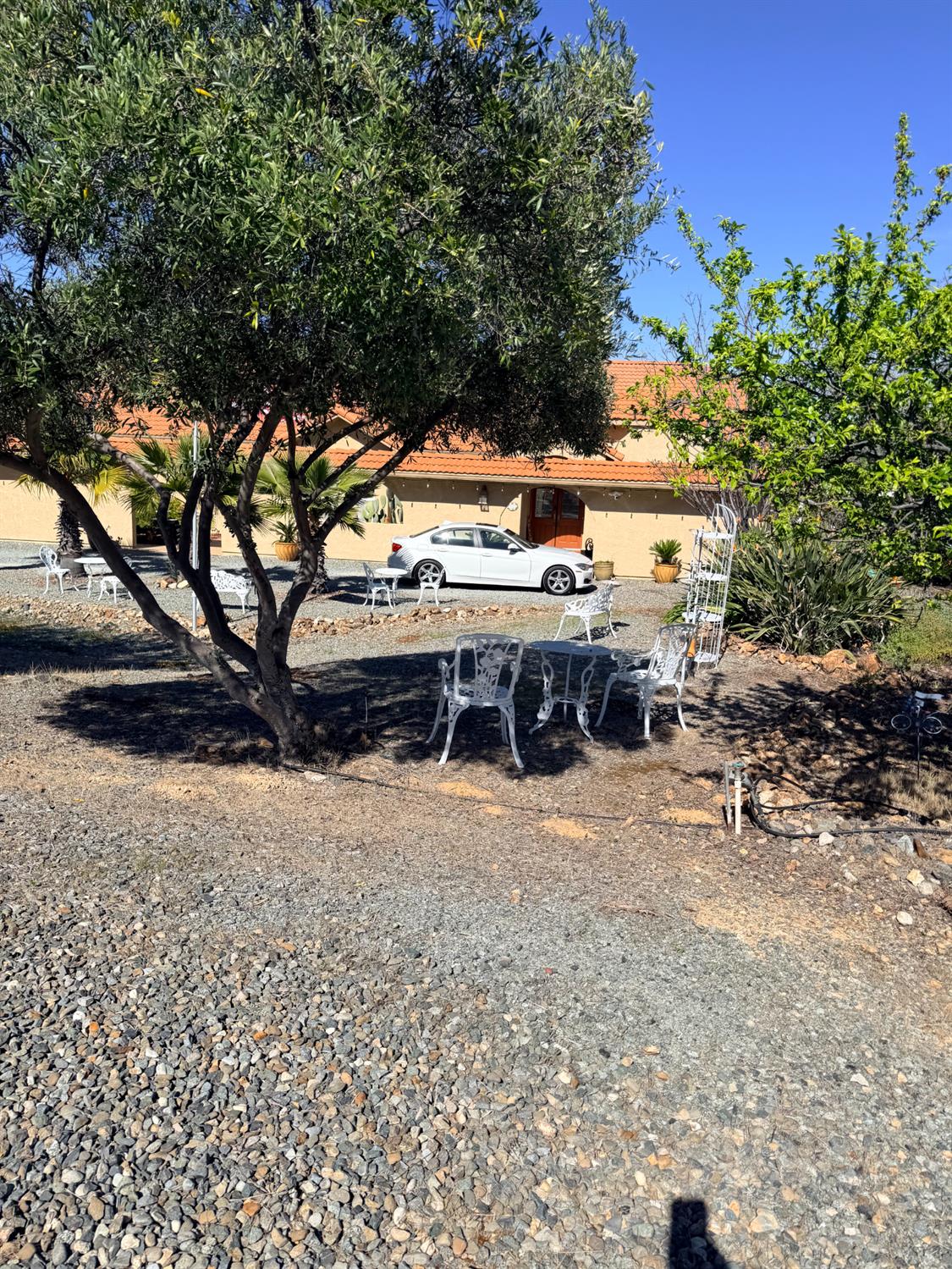 9556 Banderilla Drive