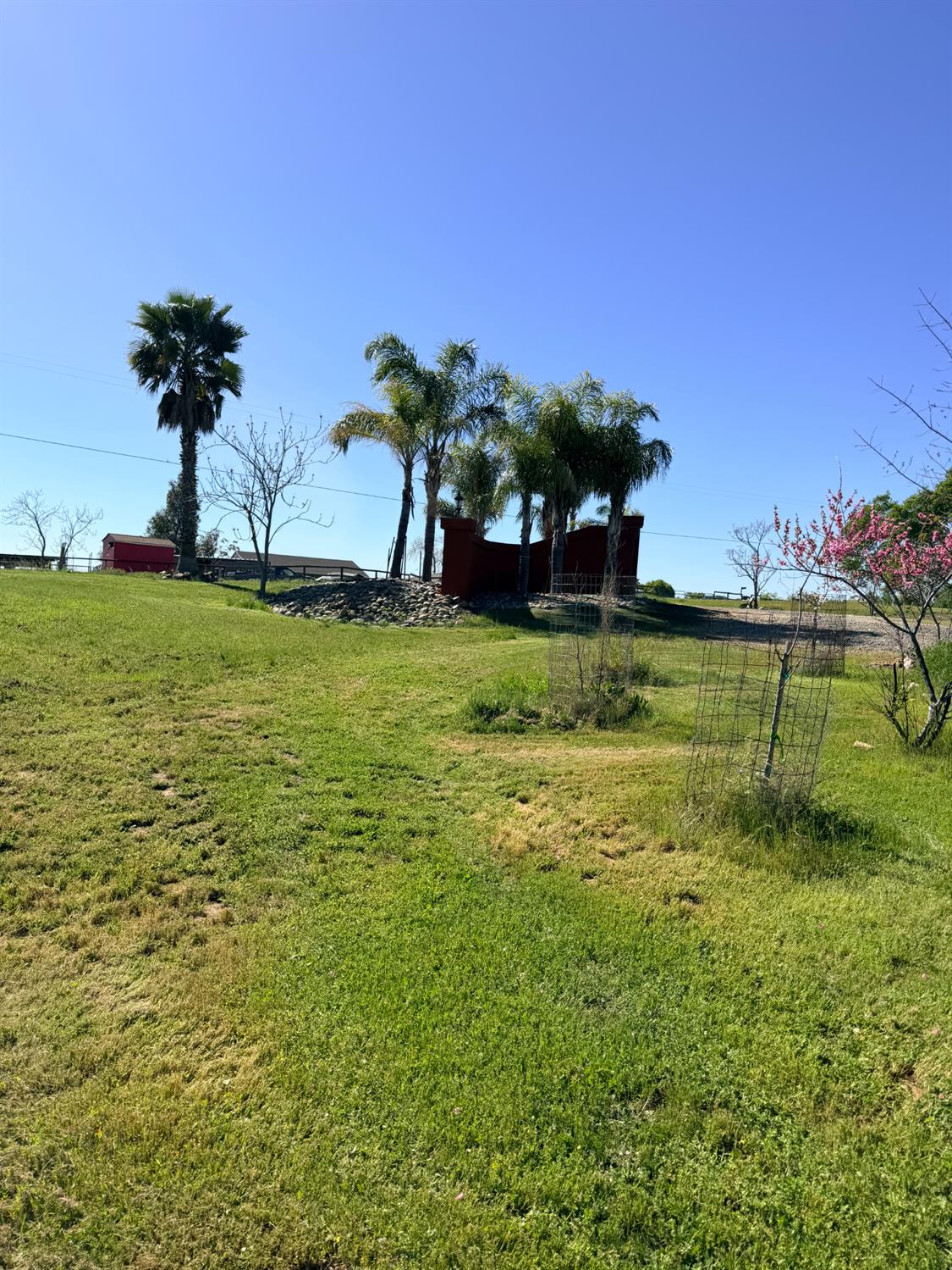 9556 Banderilla Drive