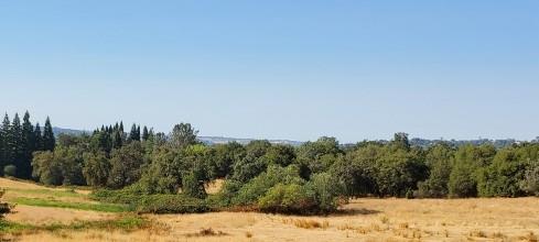 6174 Mount Pleasant Road