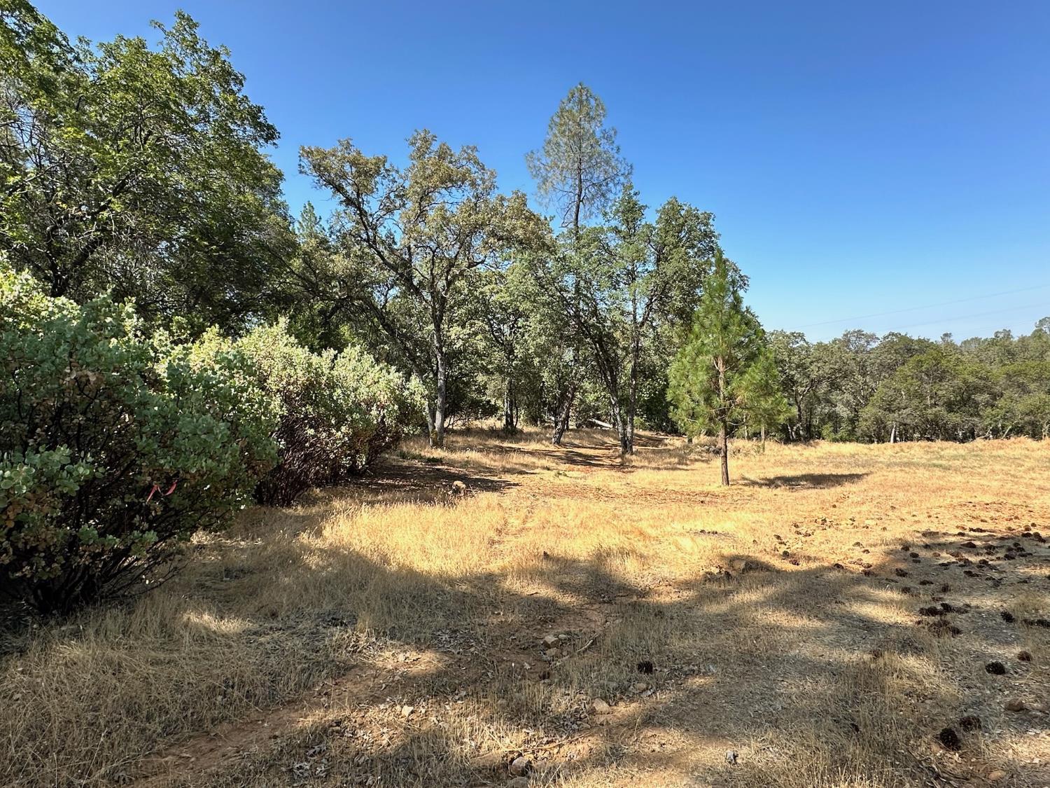 388 E Summit View Court