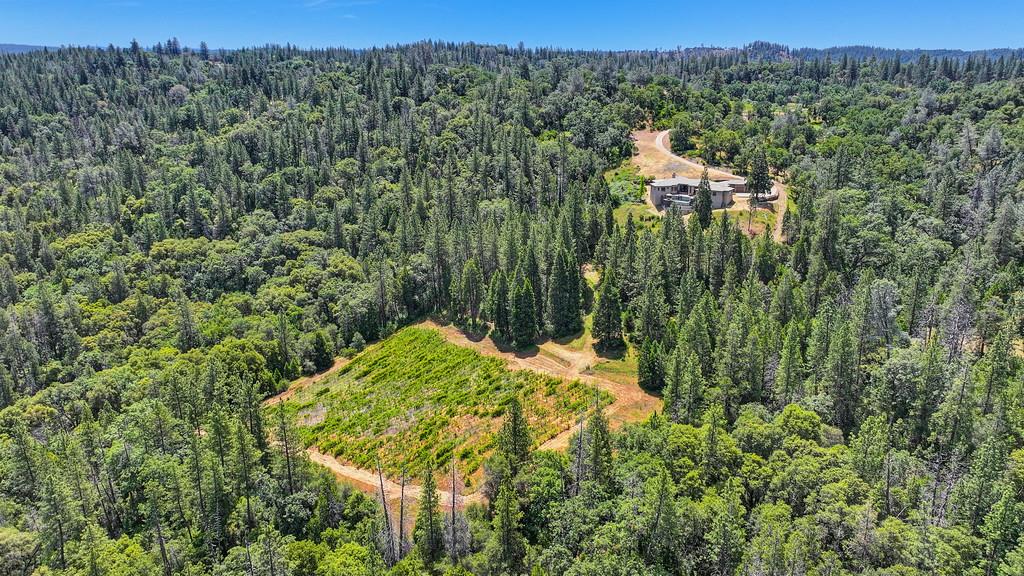 4941 D Agostini Drive