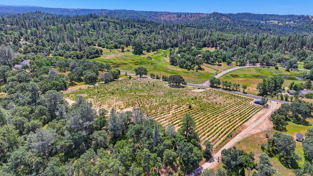 4941 D Agostini Drive