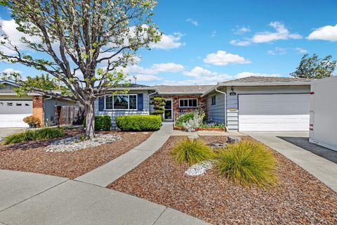 4761 Shelborne Park Court Fremont CA 94538