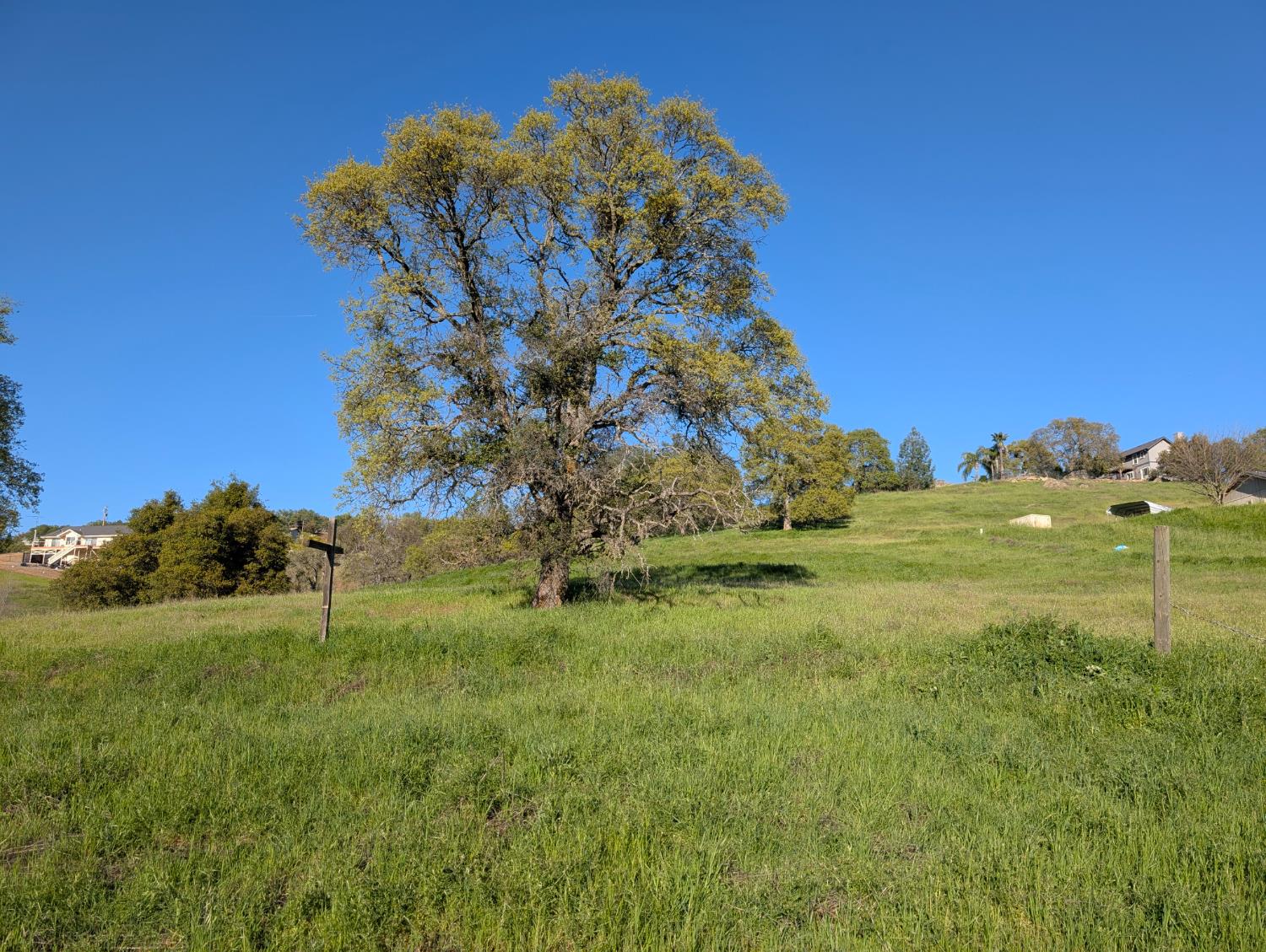 3669 Little John Road