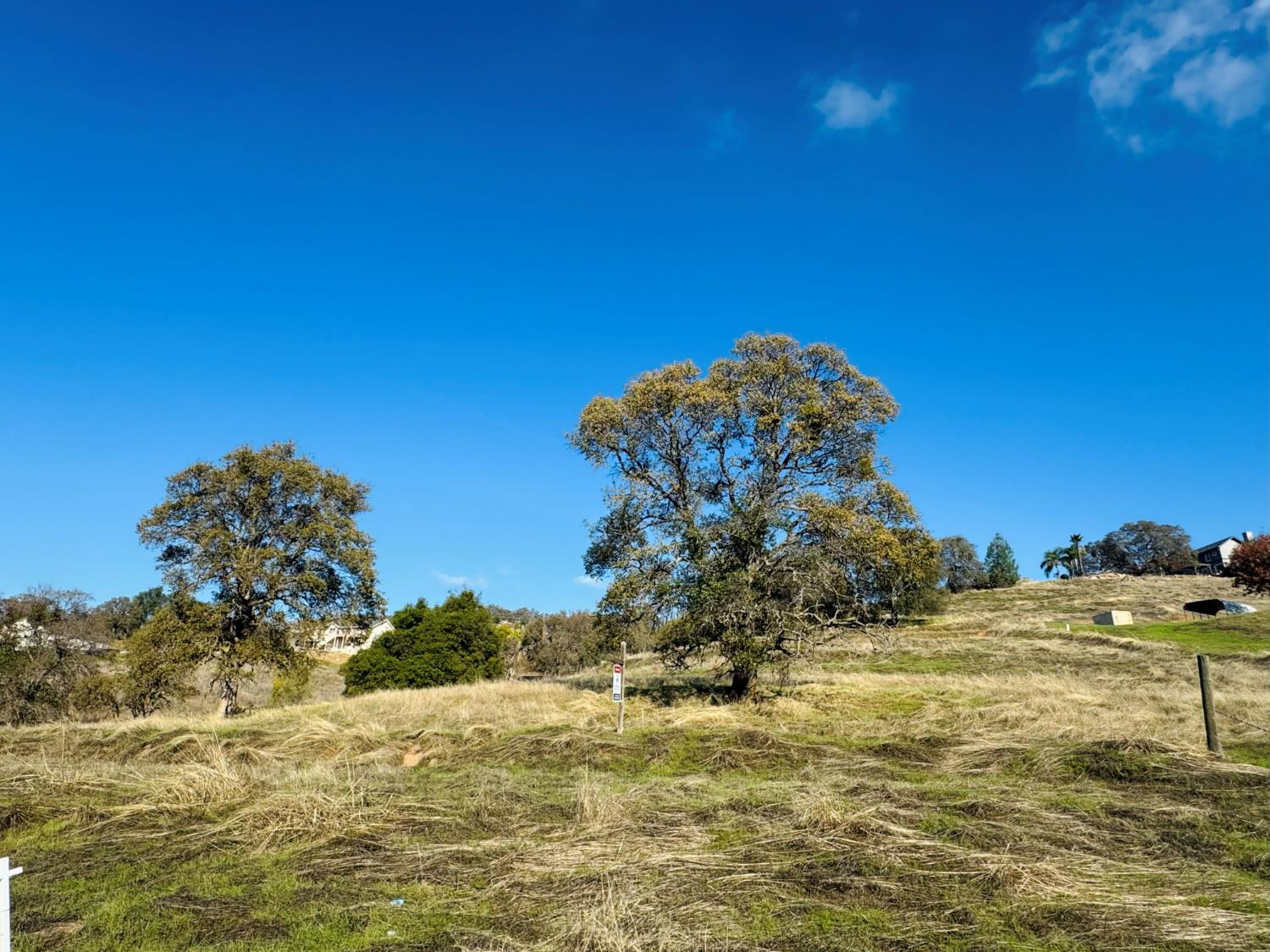 3669 Little John Road