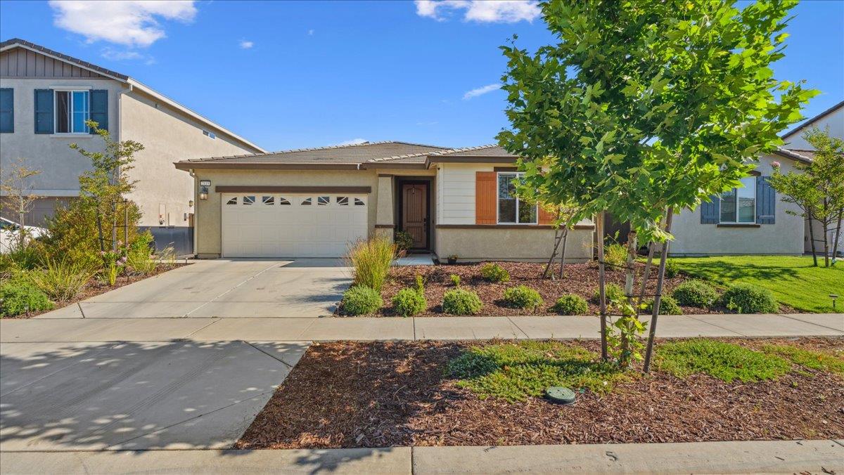 2115 Knotty Pine Way