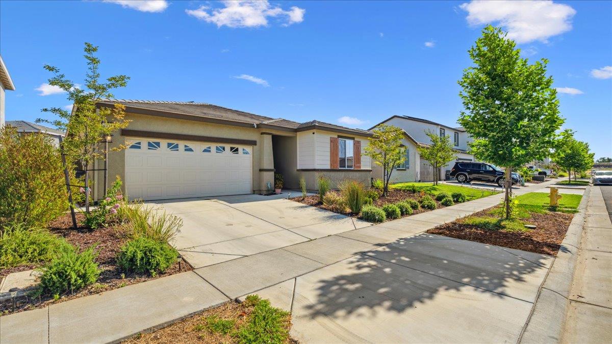 2115 Knotty Pine Way