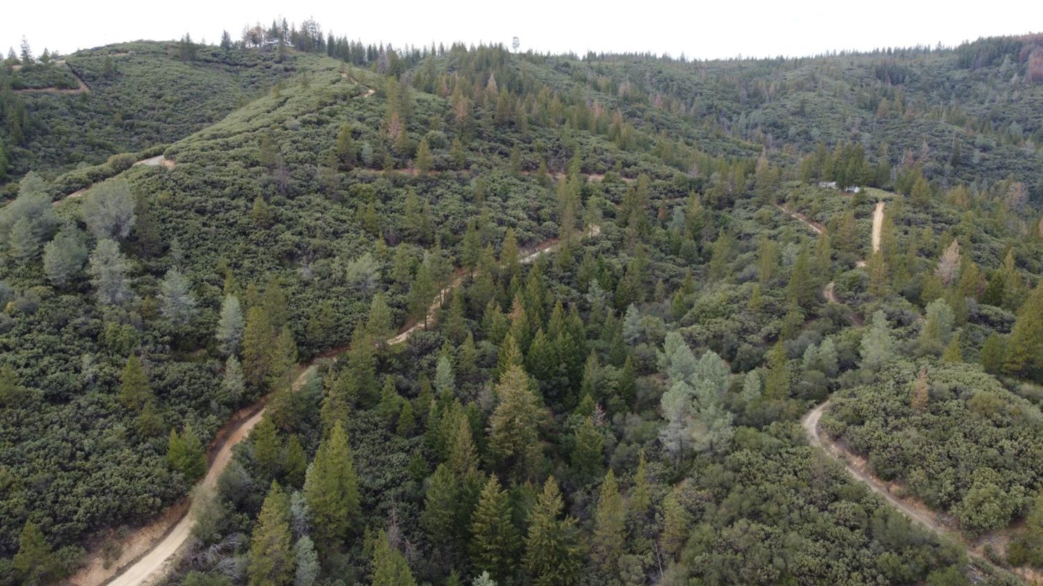 9220 Mule Skinner Road