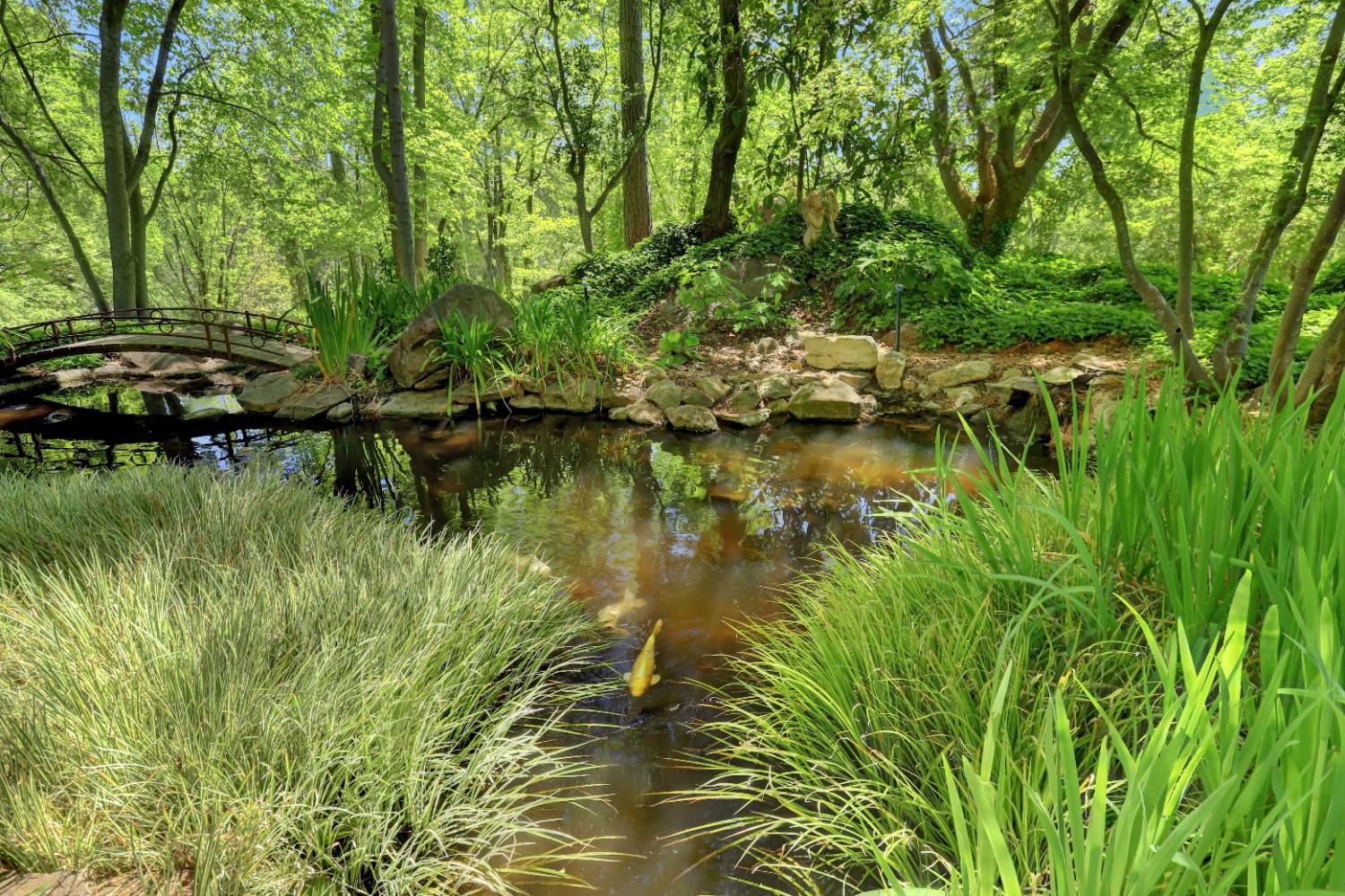 14511 Clear Creek Place