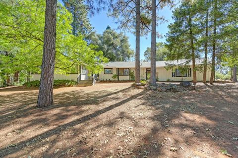 10493 Maranatha Place, Grass Valley, CA 95949 - MLS#: 225044210