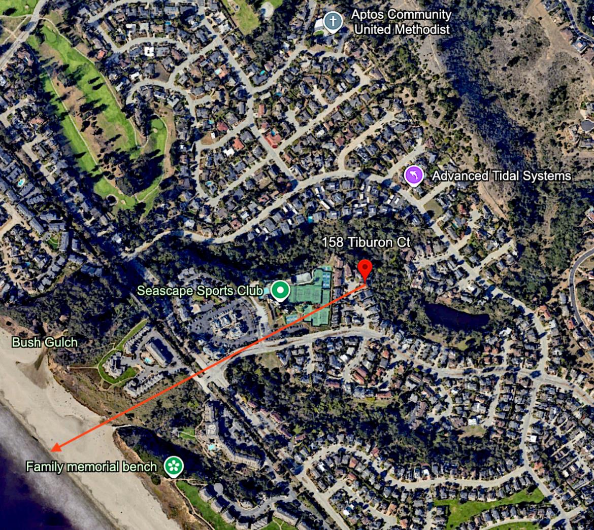 158 Tiburon Court