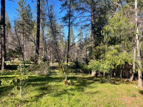 1575 Ridgemore Drive Meadow Vista CA 95722