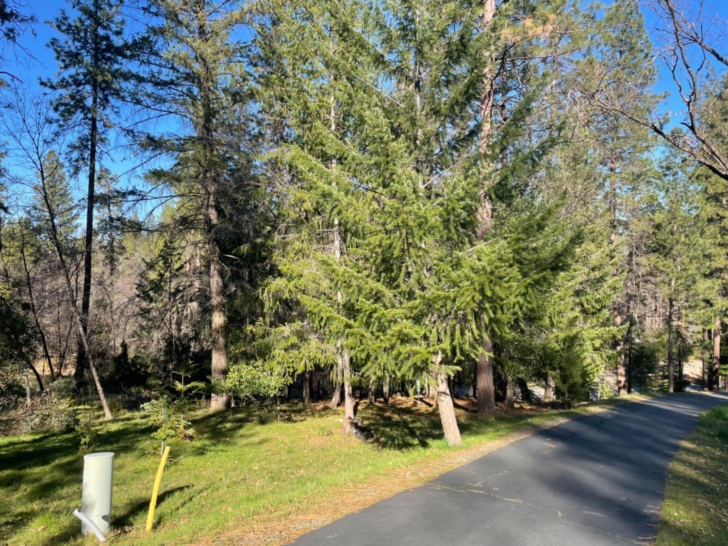 1575 Ridgemore Drive