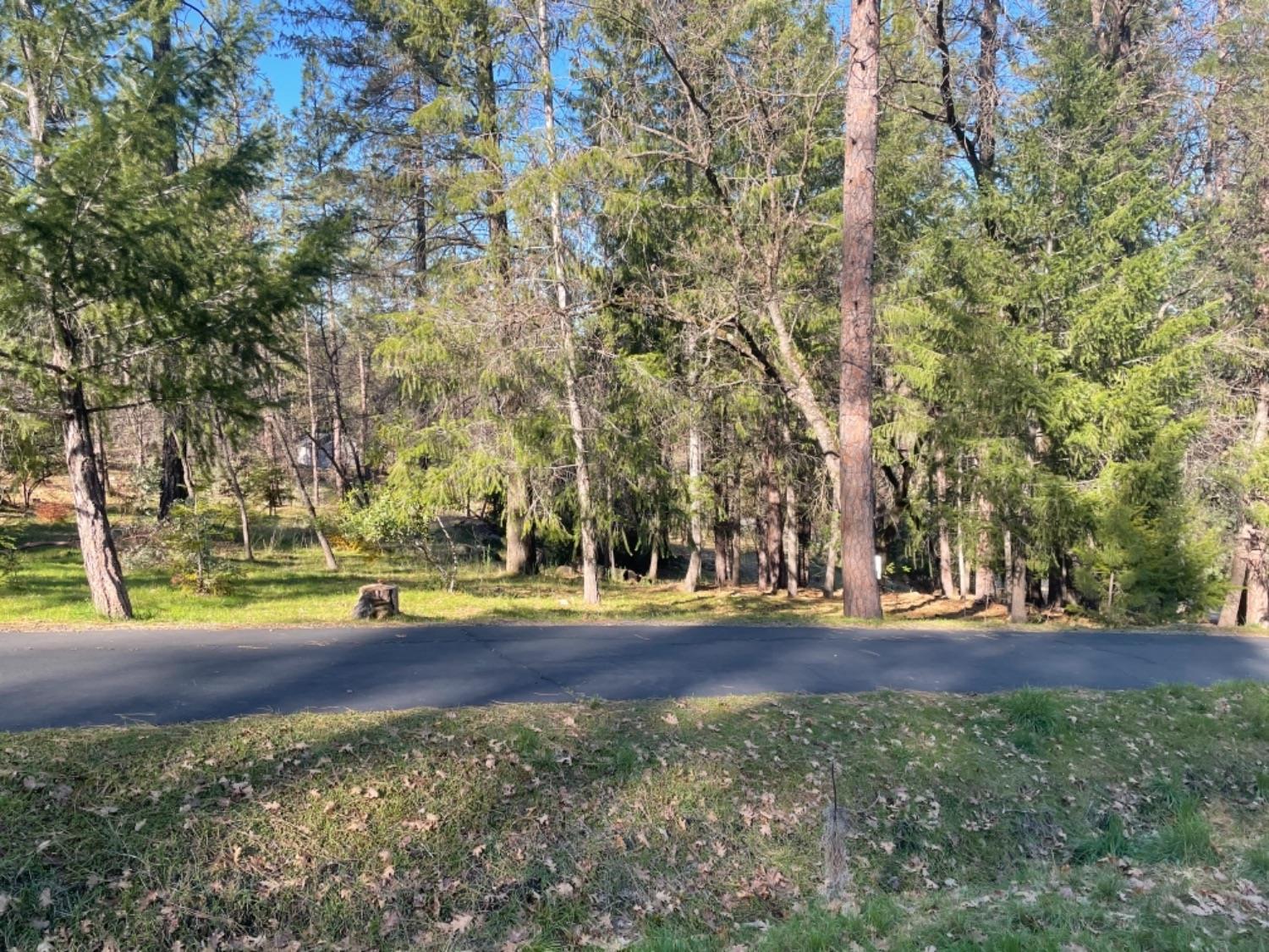 1575 Ridgemore Drive