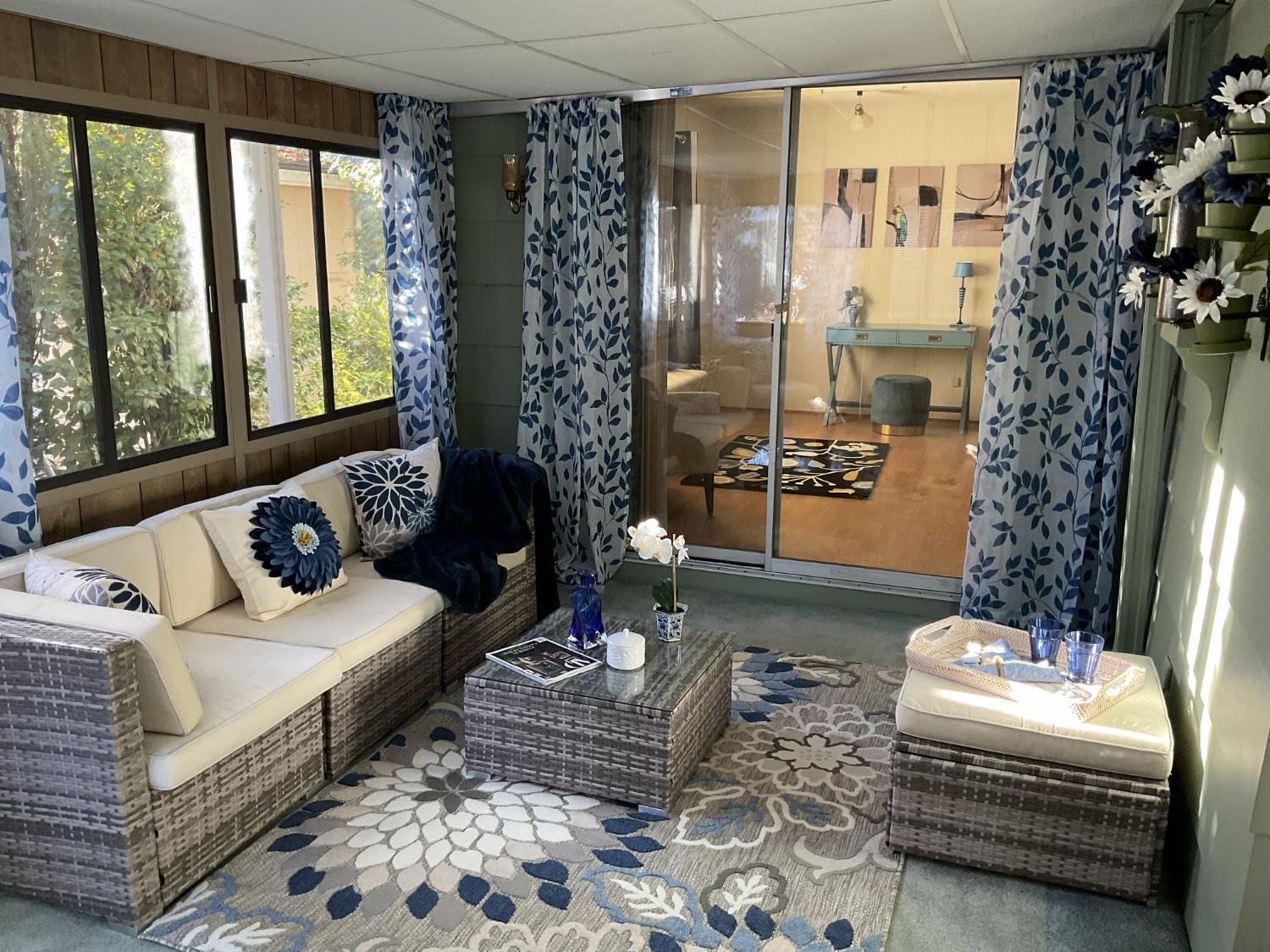 10124 Hidden Springs Drive