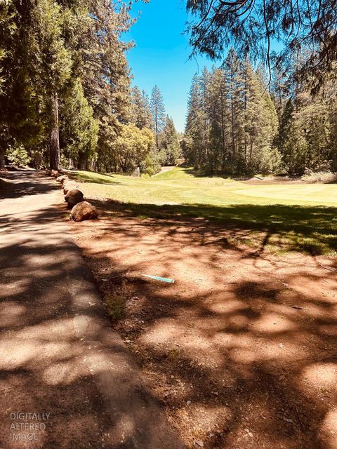 633 FOREST MEADOWS DRIVE Murphys CA 95247