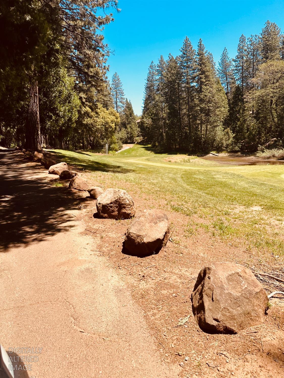 633 FOREST MEADOWS DRIVE