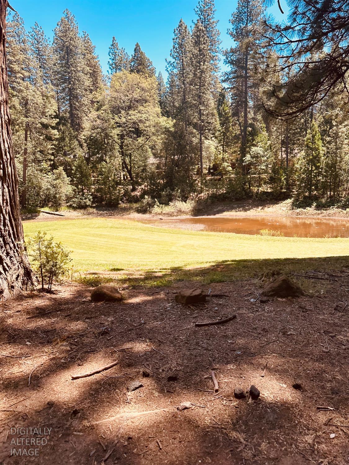 633 FOREST MEADOWS DRIVE