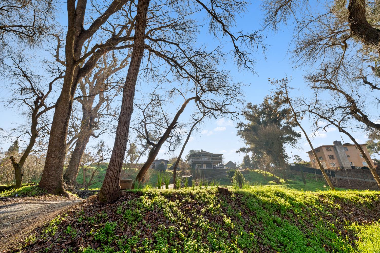 13355 Lancaster Road