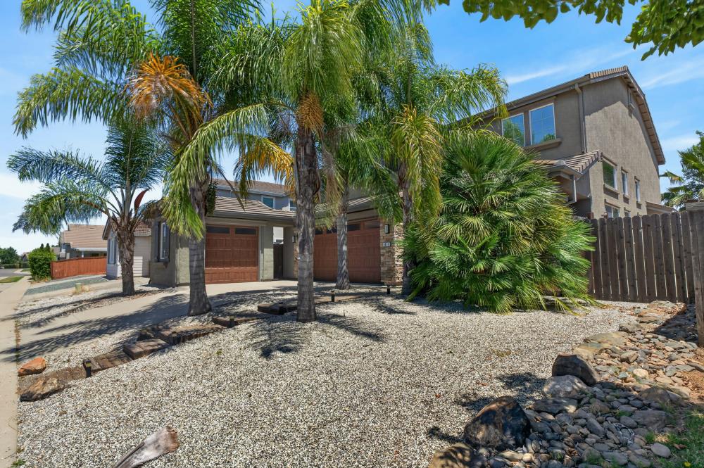 9818 Black Swan Drive