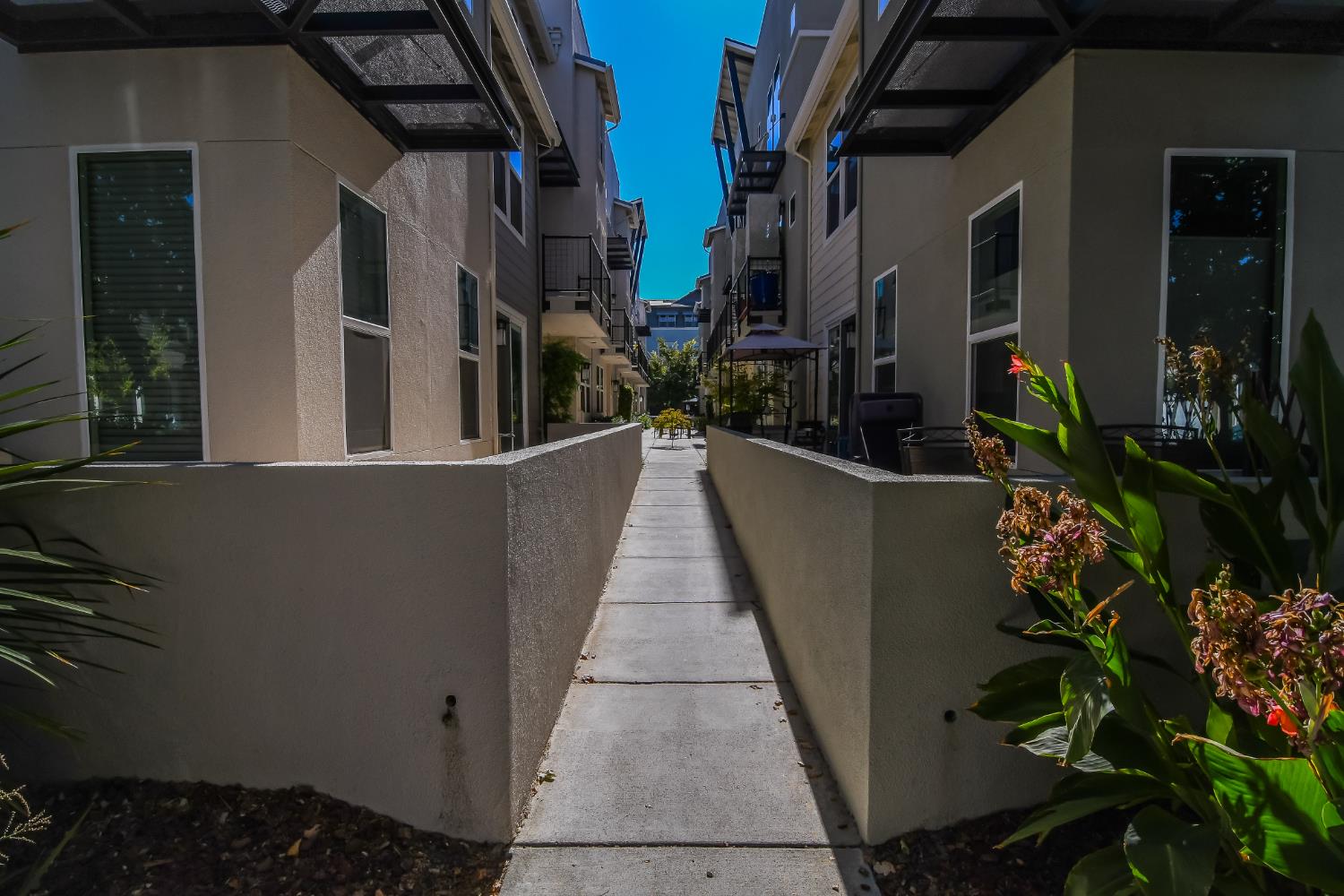 973 Legend Terrace