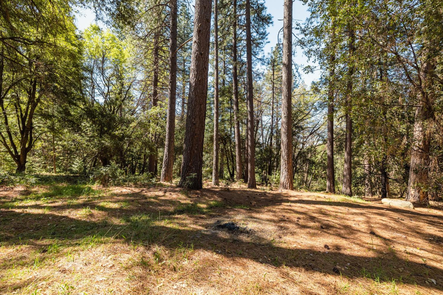 14737 Big Hill Road