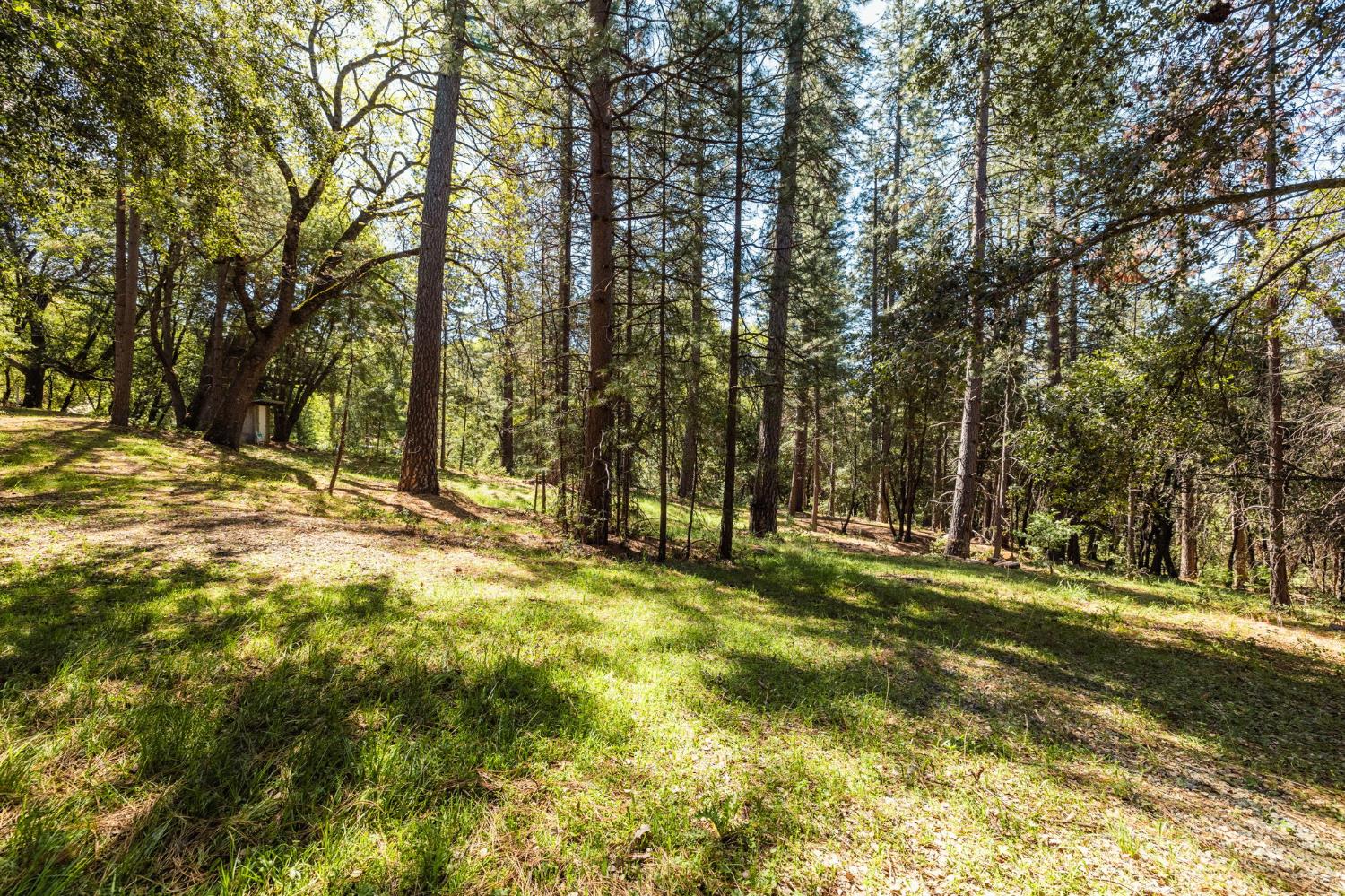 14737 Big Hill Road