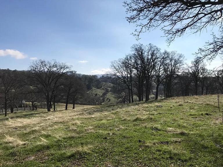 0 Lanford Pacheco Road - Photo 3
