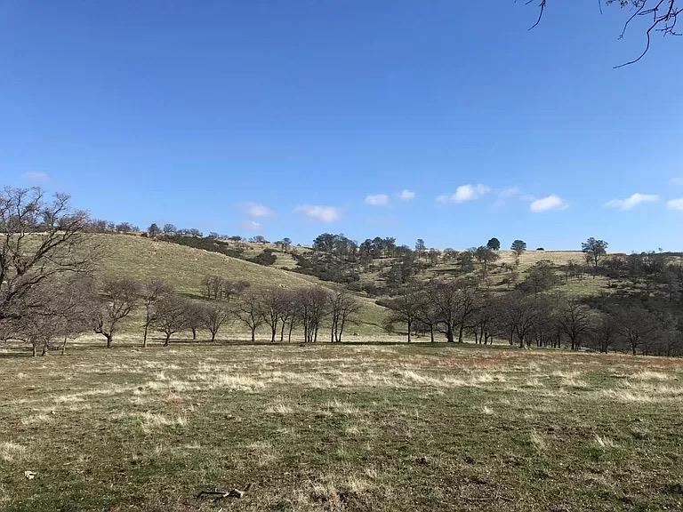 0 Lanford Pacheco Road