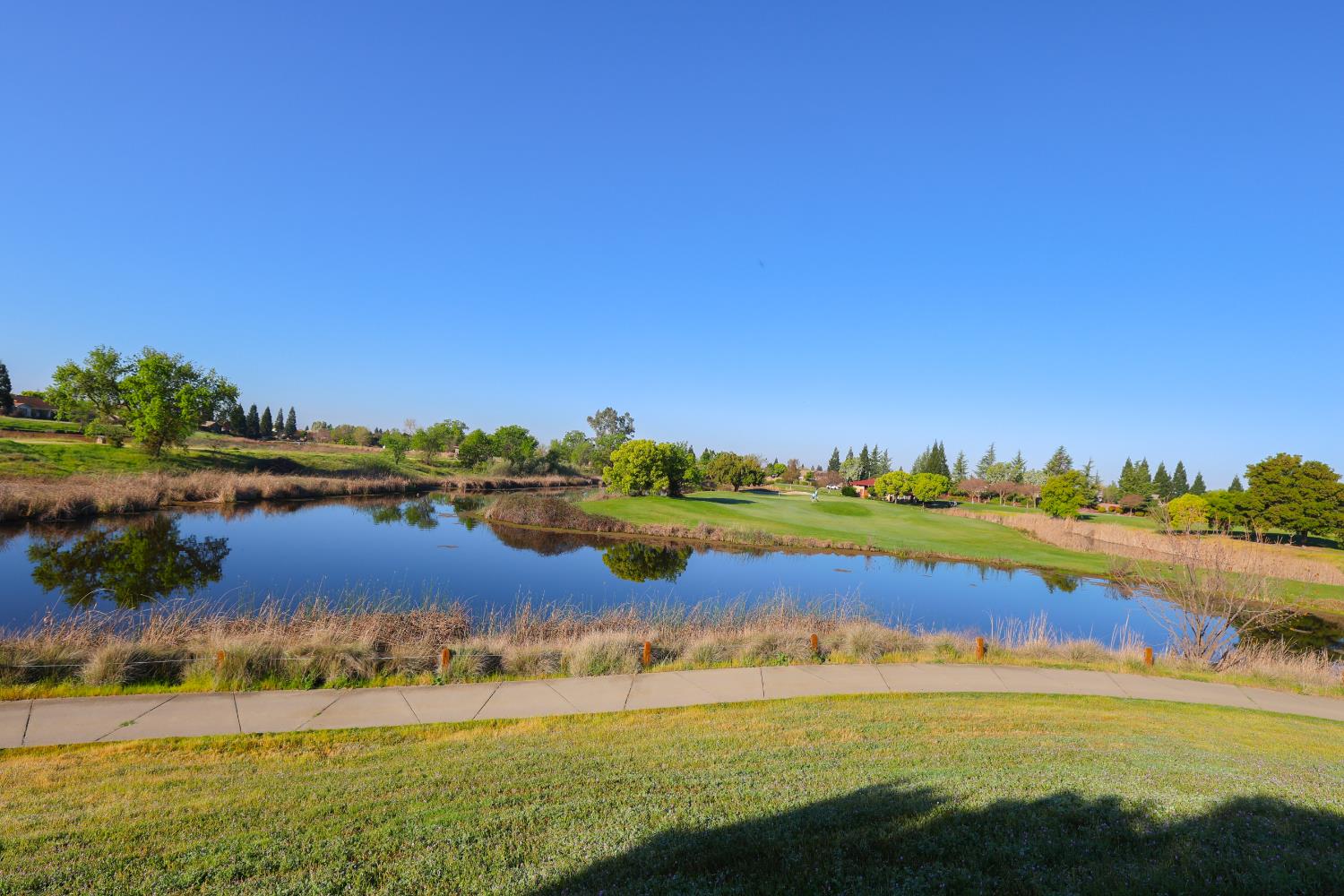 113 Lasso Lake Court