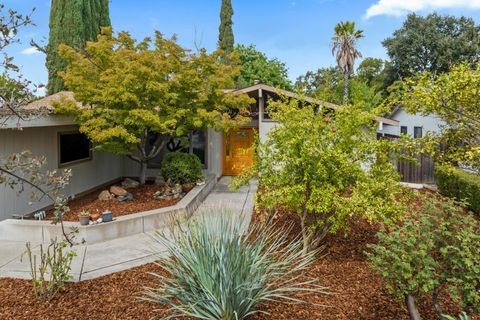 5039 El Cemonte Avenue Davis CA 95618