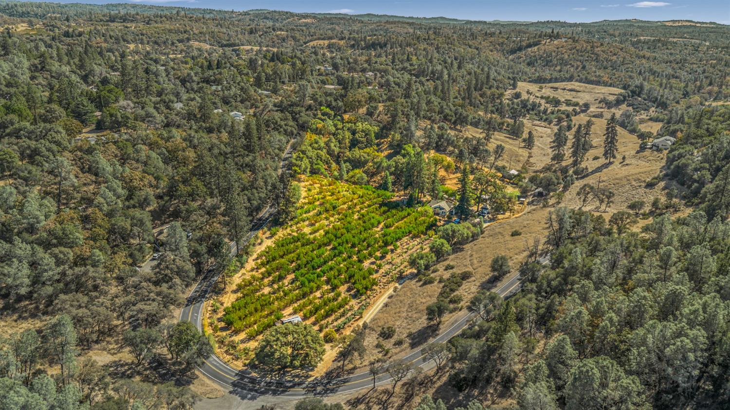 1560 State Highway 49