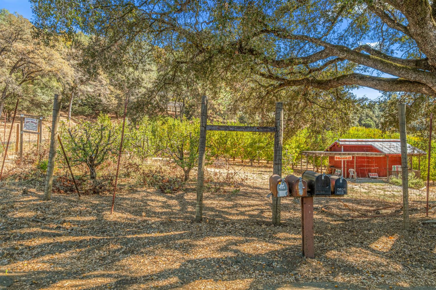 1560 State Highway 49