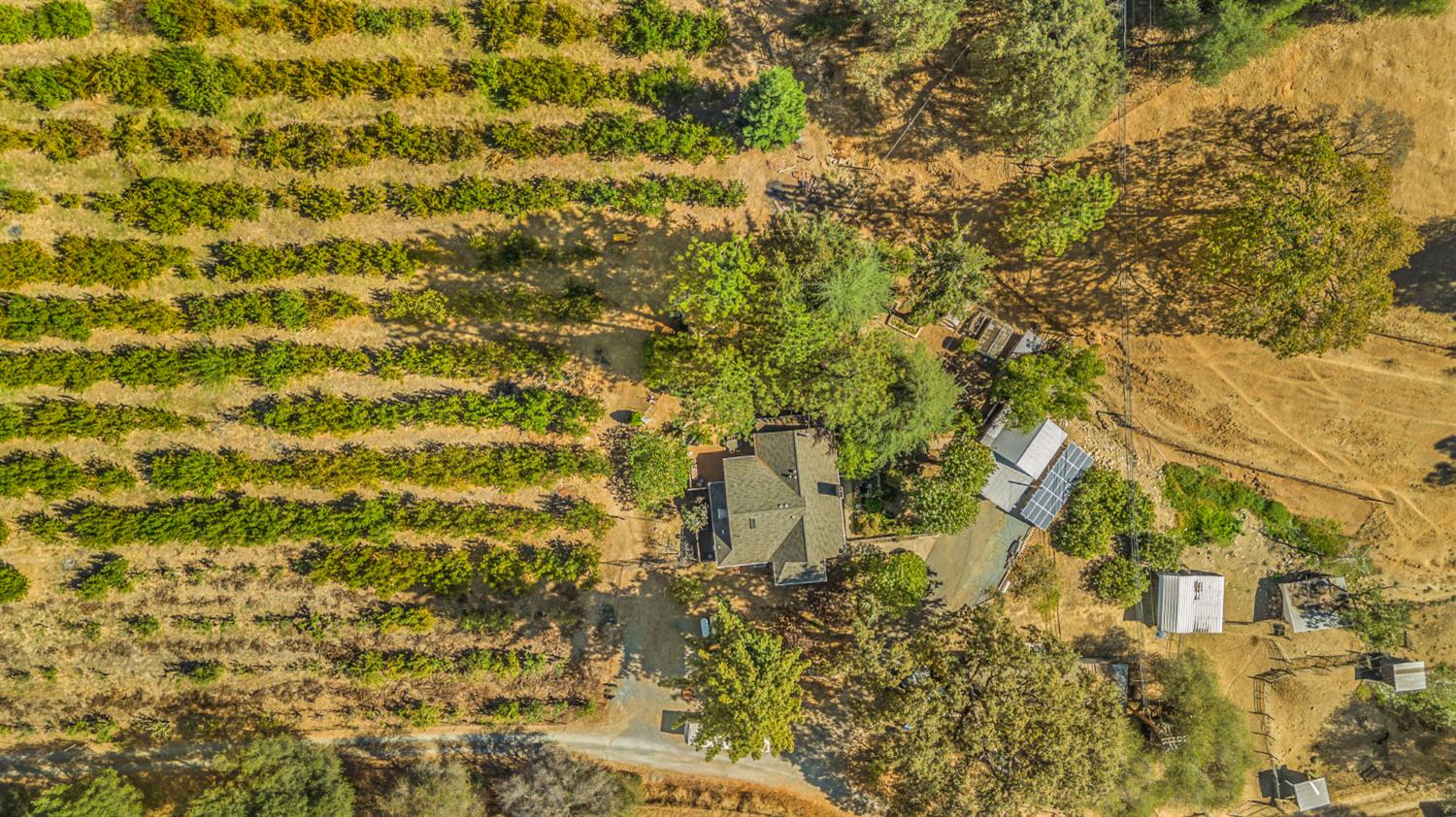 1560 State Highway 49