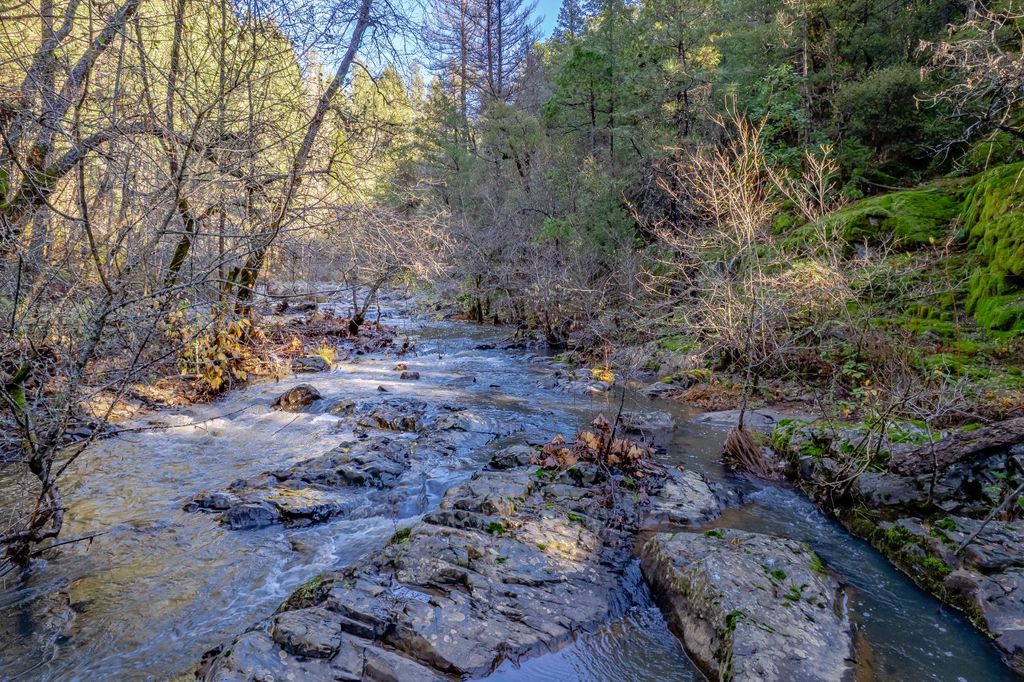 Photo of 17725 La Porte Road, Brownsville, CA 95919 (MLS # 225146696)