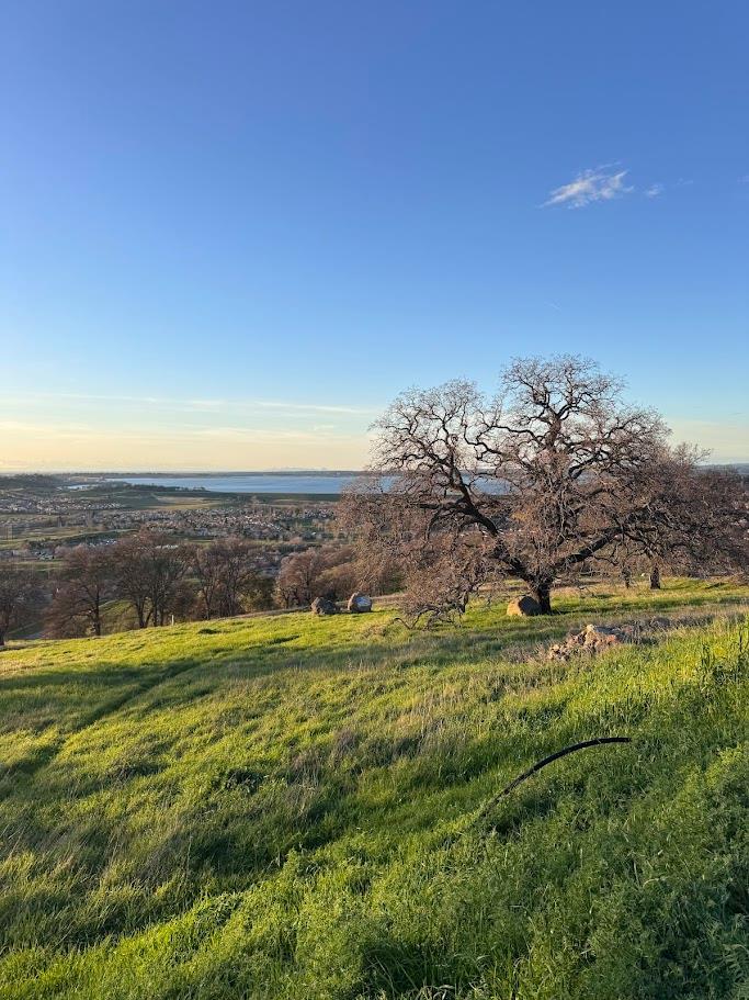 1032 Fire Clay Drive