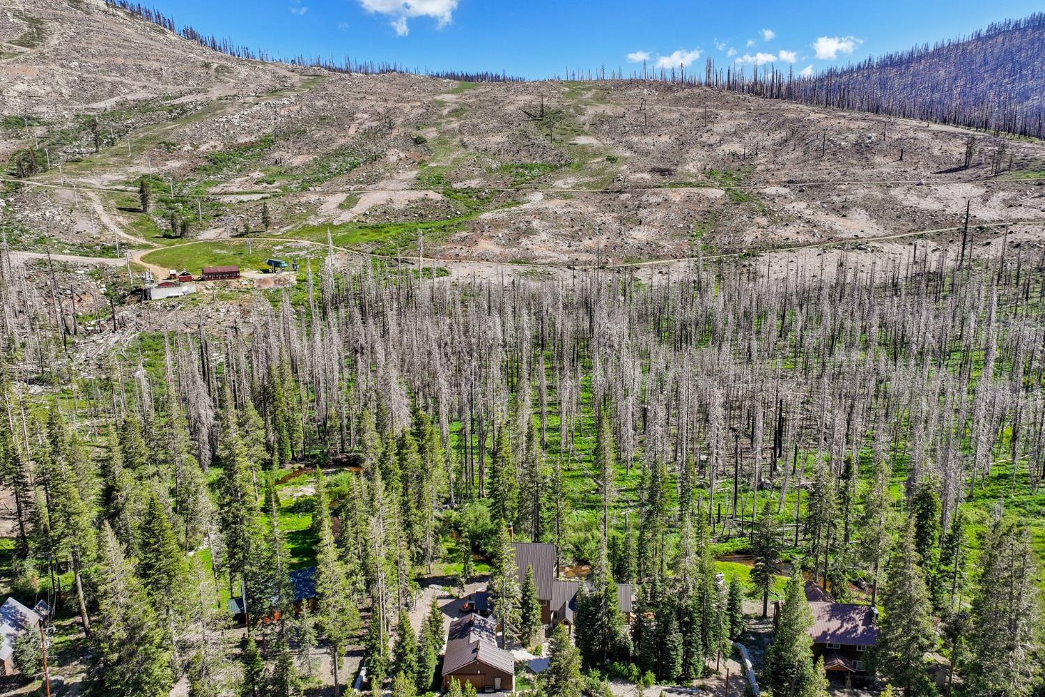 7770 Tamarack Pines Road