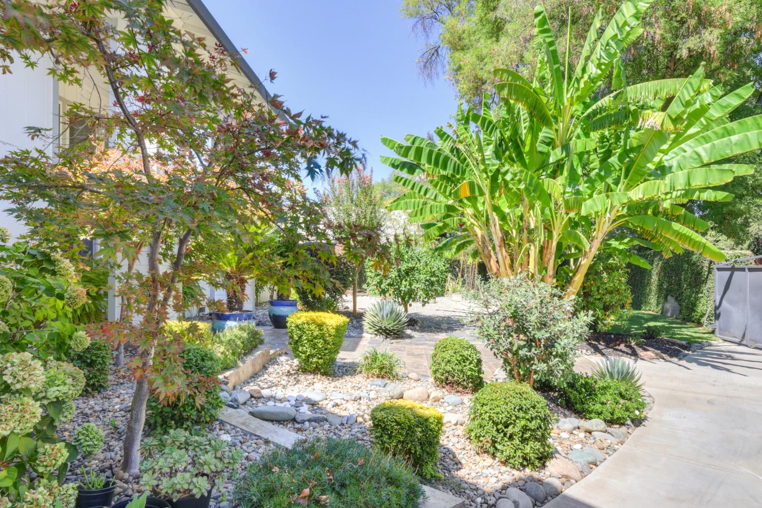 931 Saverien Drive
