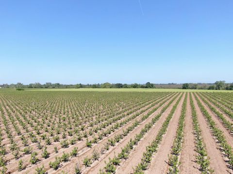 19991 N Tretheway Road Acampo CA 95220