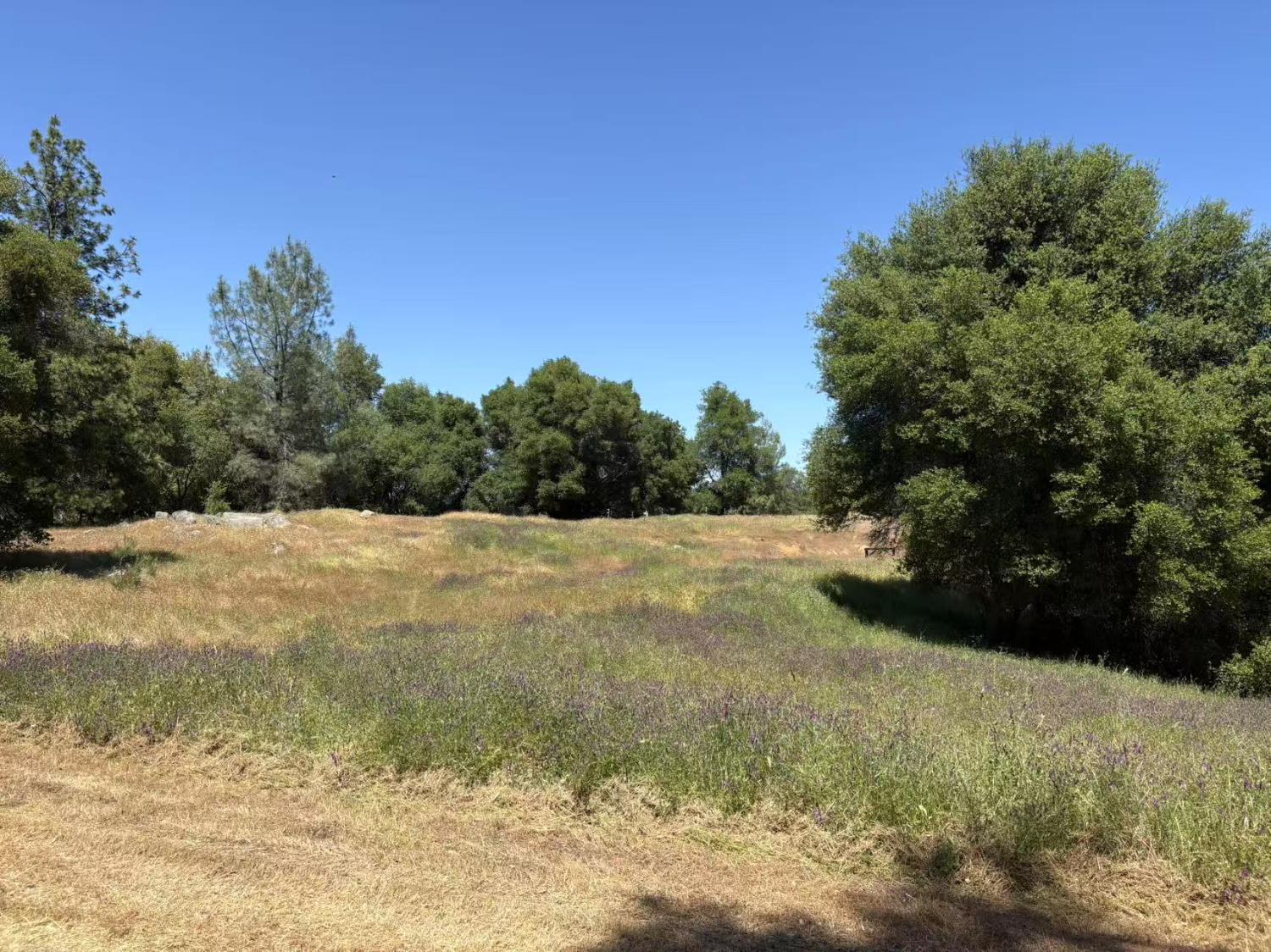 Somerset, California 95684, United States, 2 Bedrooms Bedrooms, ,3 BathroomsBathrooms,Residential,Active,155406