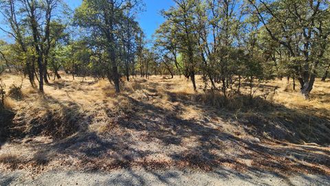 0 019-080-0240 Castano Way Coulterville CA 95311