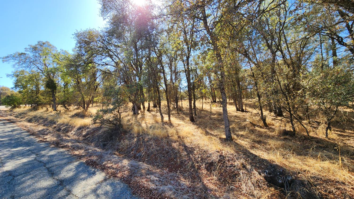 0 019-080-0240 Castano Way