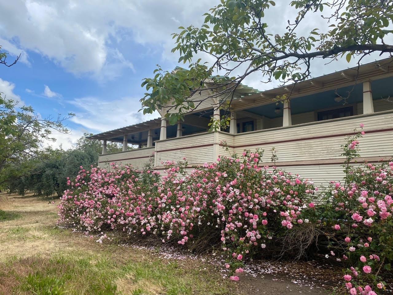 700 Wellsford Road