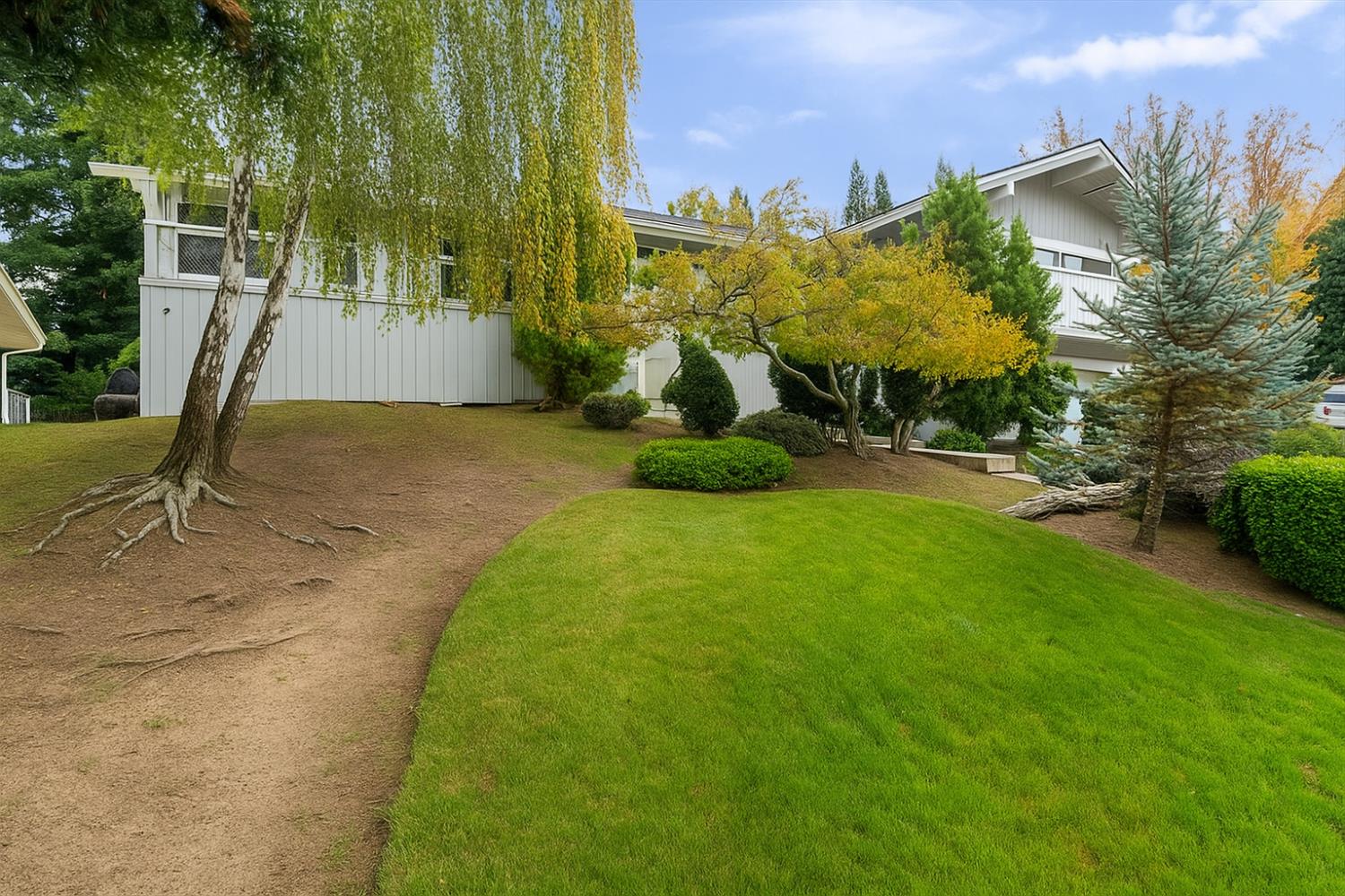 15043 Guadalupe Drive