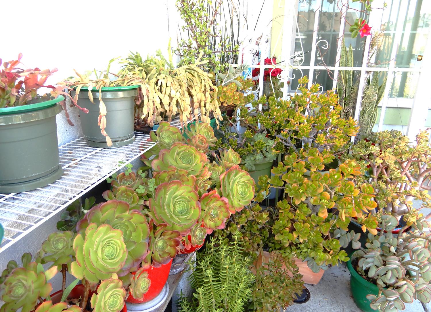 1863 Arroyo De Platina