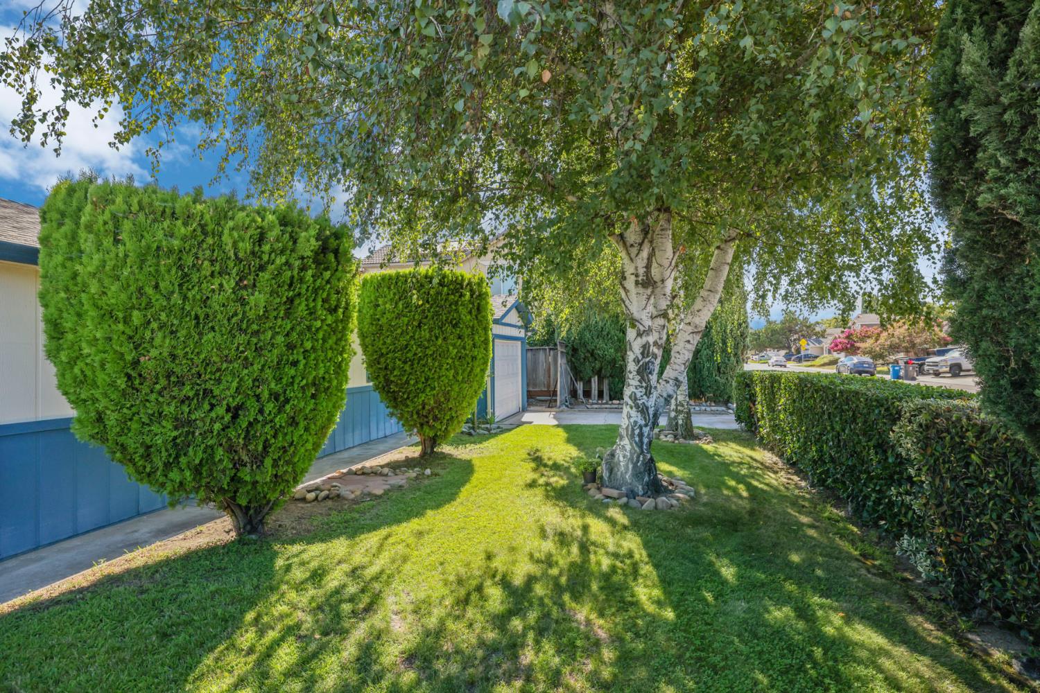 316 Thomsen Road