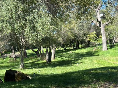 9695 Junewood Lane Loomis CA 95650