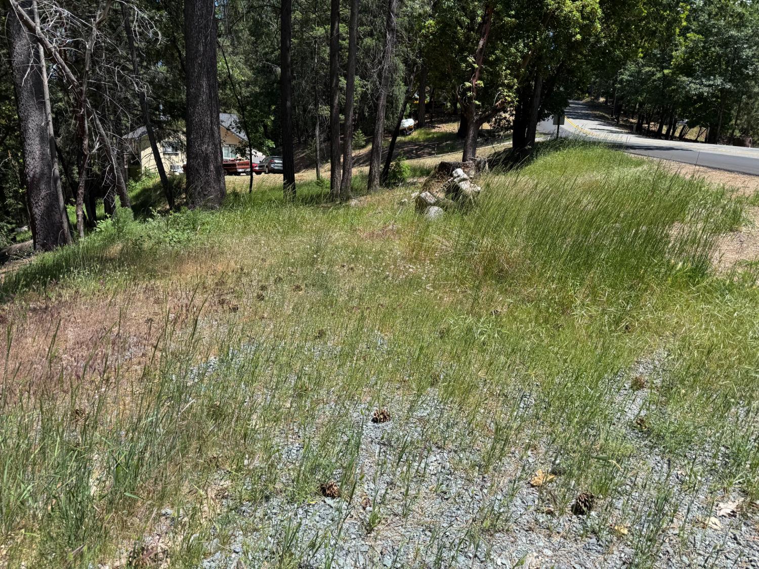 20955 Todd Valley Road