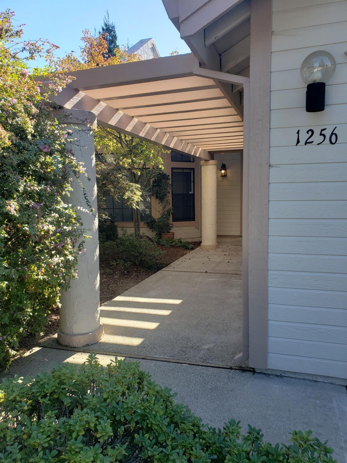1256 Saddle Court
